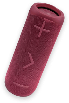 BlueAnt X2i Portable Bluetooth Speaker