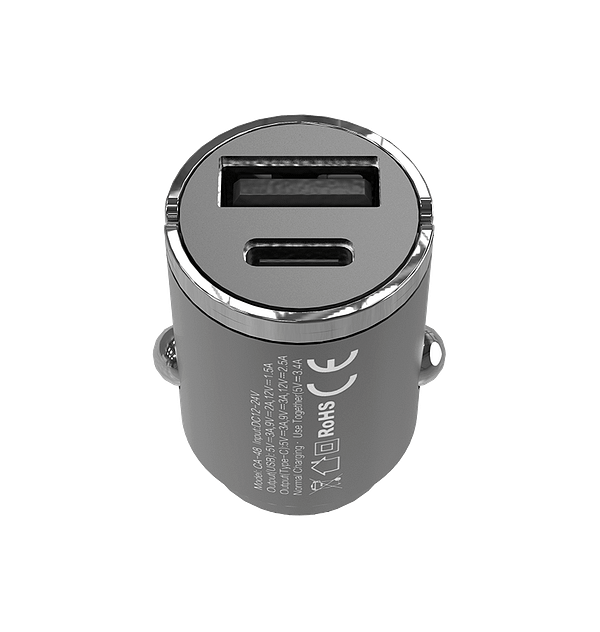Dual Port Car Adapter